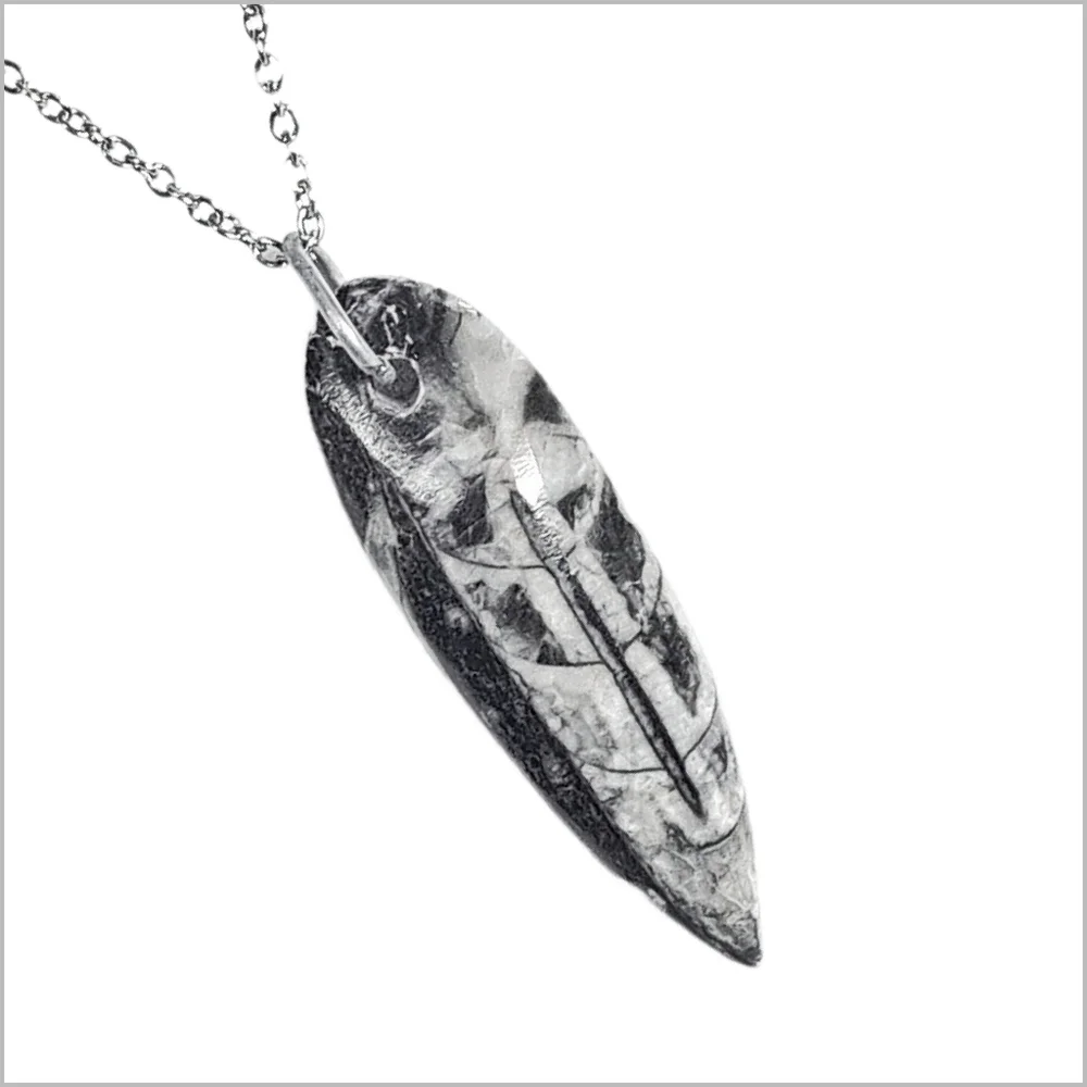 Genuine Orthoceras Fossil Pendant with Stainless Steel Necklace. NWOT